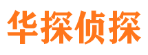 青原市私家侦探